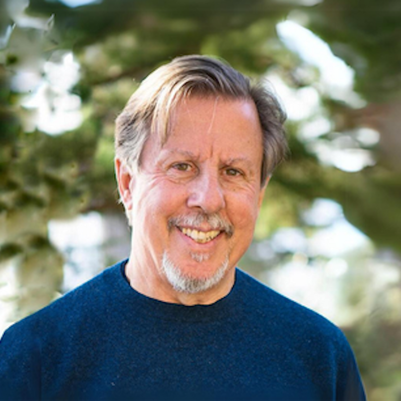 Life-Changing Therapy: Healing Parts & Revealing Entities | IFS Founder Dr. Richard Schwartz #502