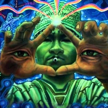 The Quintessential Ayahuasca Experience with Barbell Shrugged | AMP #51