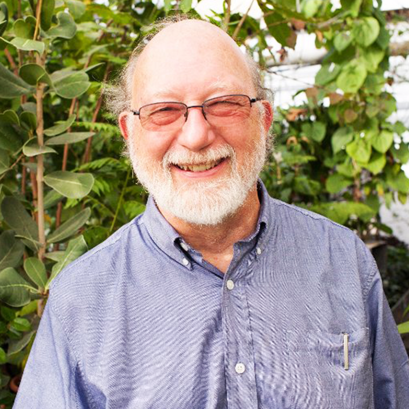 Throwing Down For The Plants with Dennis McKenna | AMP #108
