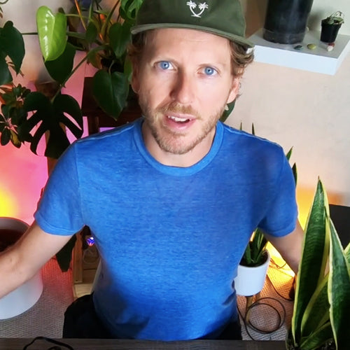 How To Hear Plants Sing with Joe Patitucci | AMP #242