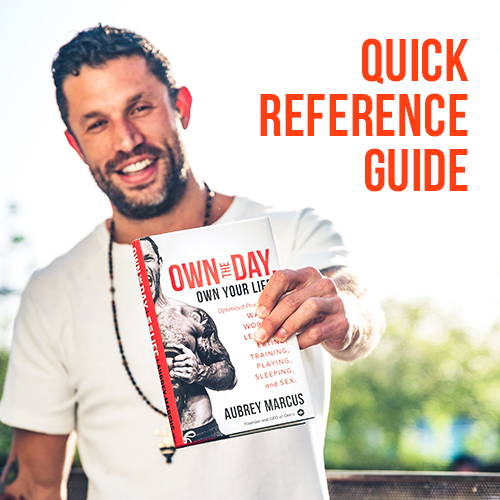 Own The Day Quick Reference Guide