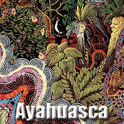 Ayahuasca Vs. Iboga