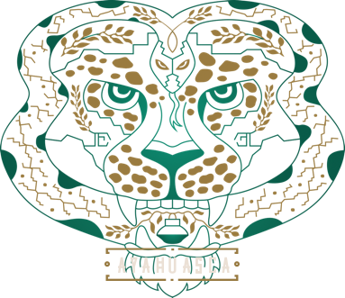 Ayahuasca Documentary