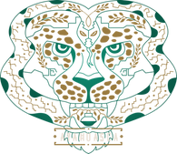 AYAHUASCA Documentary (HD)