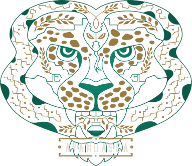AYAHUASCA Documentary (HD)